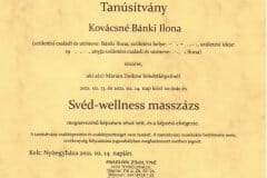 Sved-wellness-masszazs-tanfolyam-4